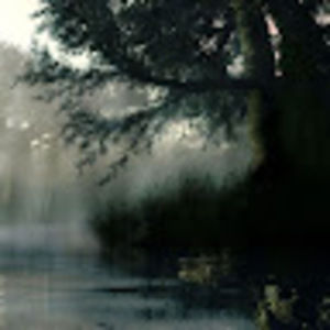 Meet your Posher, Lesley